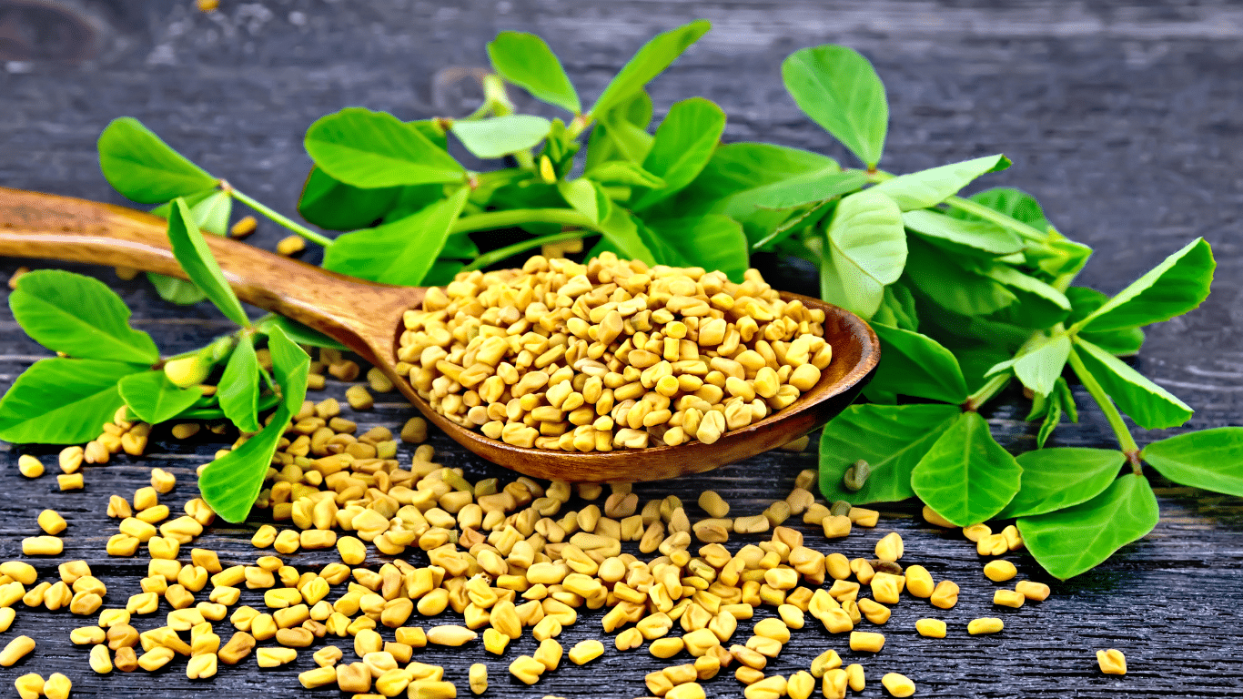 Fenugreek Seeds मेथी