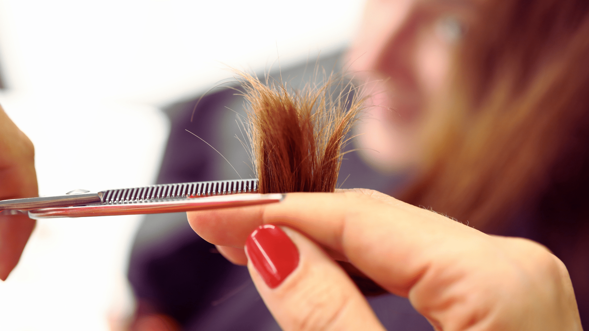 Prevention of split ends दोमुंहे बाल hair Split Ends